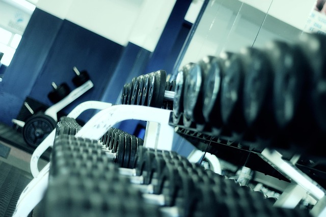 Fitnes a posilovňa post thumbnail image